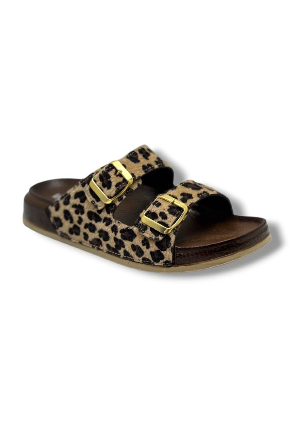 Witta Witta 26 Leopar