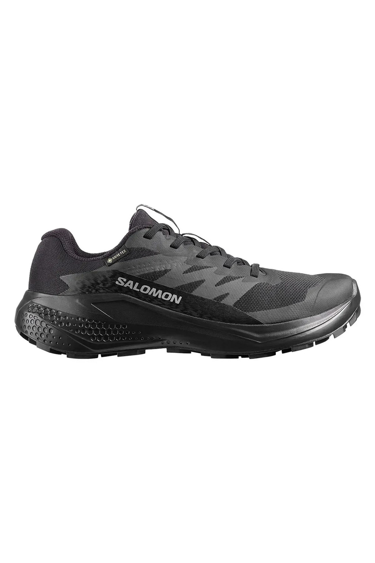 Salomon Alphaglide Gtx siyah