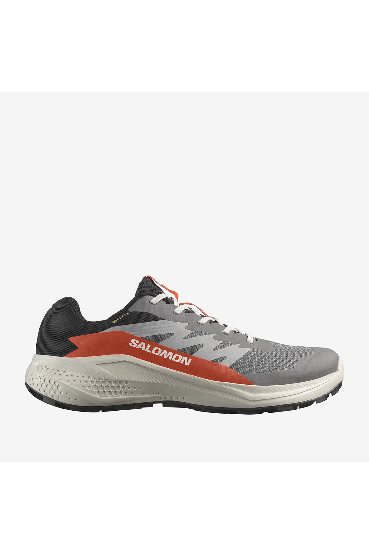 Salomon Alphaglide Goretex gri