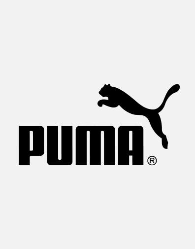 Puma 2