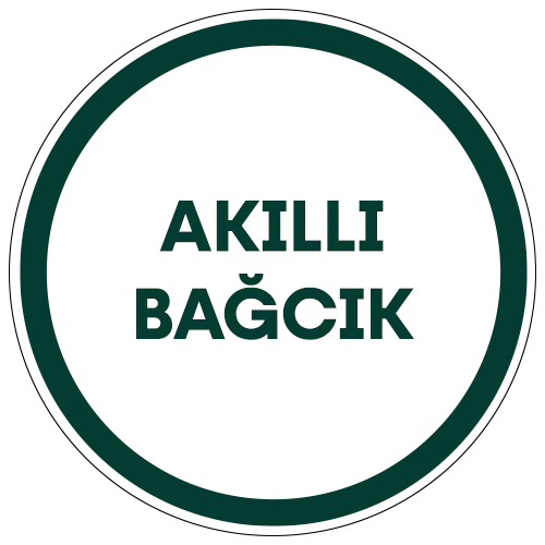 Akıllı Bağcık