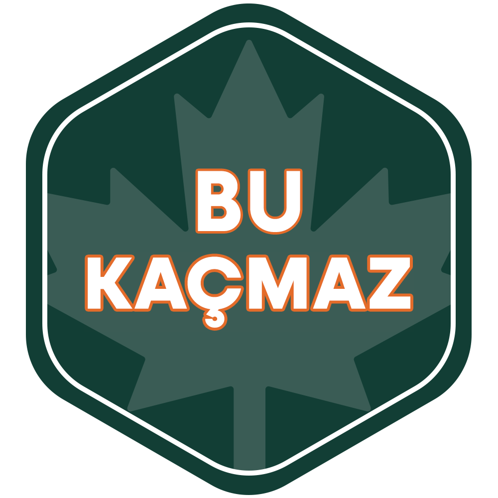 Bu Kaçmaz