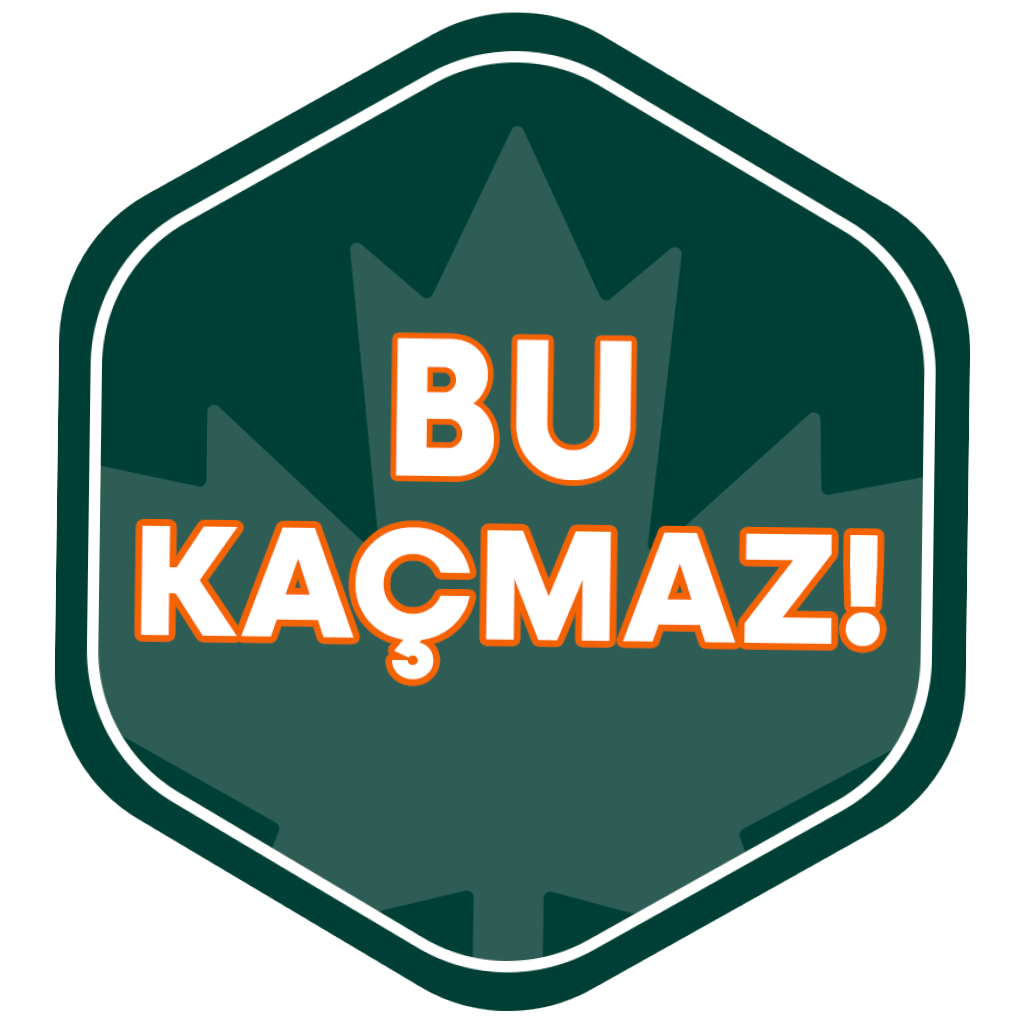 Bu Kaçmaz