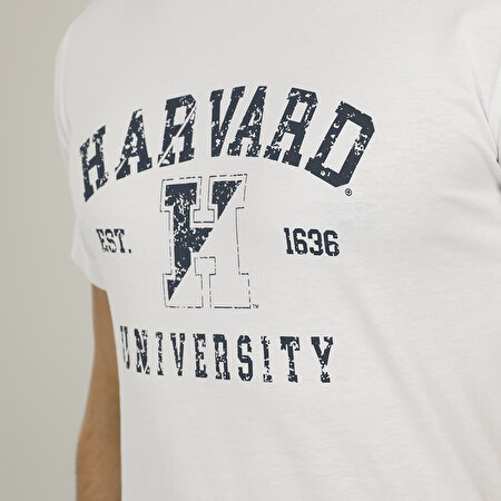 SN684 HARVARD T-SHIRT 2FX Beyaz Erkek T-Shirt_3