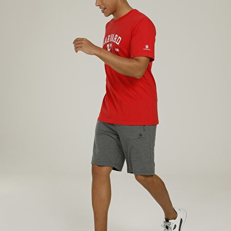 CT103 BASIC SHORT 2FX  Erkek Şort_2
