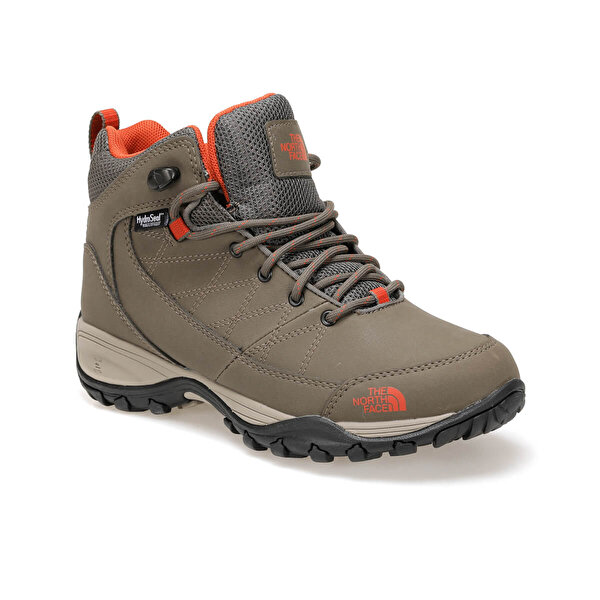the north face
