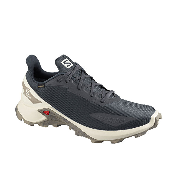 Salomon Alphacross Blast Gtx Gri Erkek Kosu Ayakkabisi 101016012 Instreet