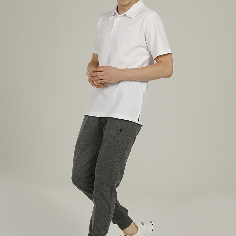 ROBERT JOGGER 2FX  Erkek Eşofman Altı_2