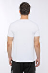 M-18033 ODELE KK TSHIRT Beyaz Erkek T-Shirt
