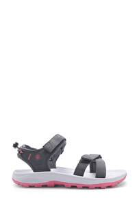 Gri