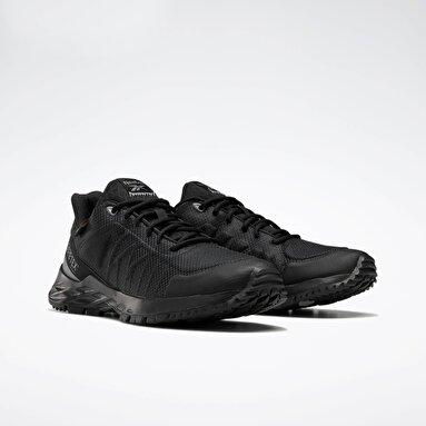ASTRORIDE TRAIL GTX Siyah Erkek Outdoor
