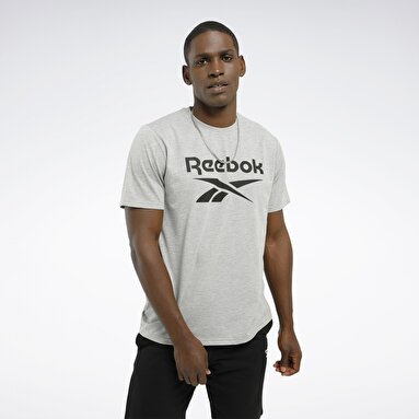 IDENTITY STACKED Gri Erkek Kısa Kol T-Shirt