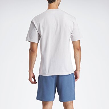 ICON ELEMENTS TEE Gri Erkek Kısa Kol T-Shirt