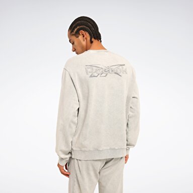 WELHE C NECK Gri Erkek Sweatshirt