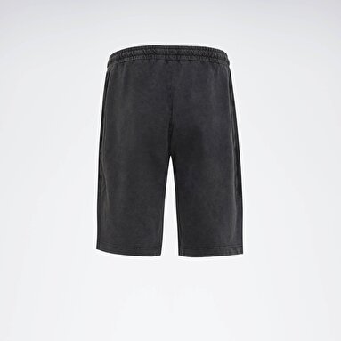 ANTHE SHORT Antrasit Erkek Şort