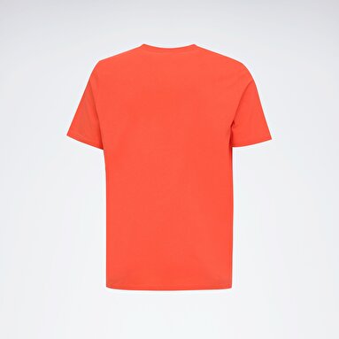 NEW ID REG TEE Turuncu Erkek Kısa Kol T-Shirt