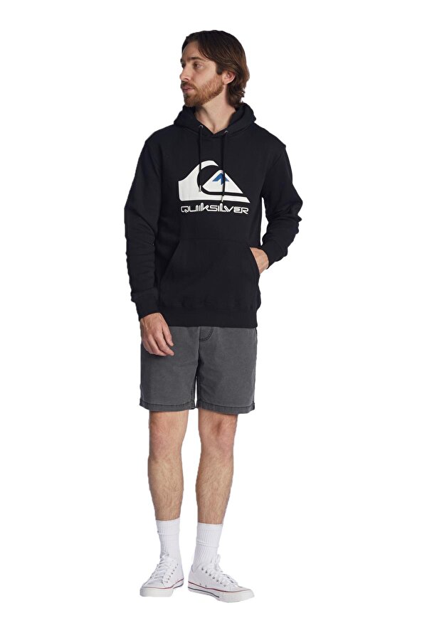 EQYFT04450 - Big Logo Hoodie Erkek Sweatshirt