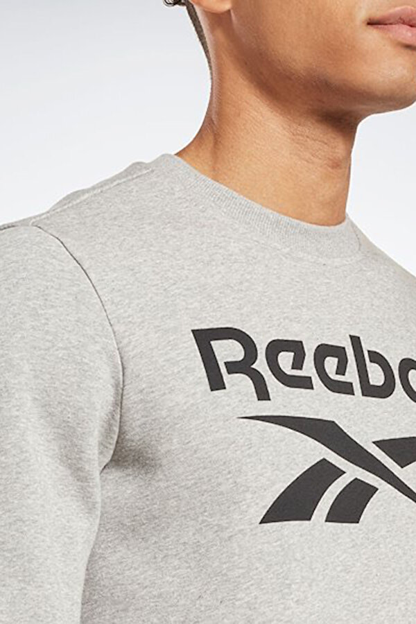 RI FLC Big Logo Crew GRAY MELANGE Man 060