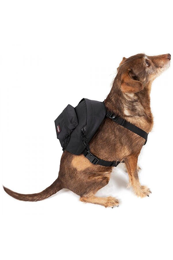 Dog Pak r Köpek Sırt Çantası Siyah