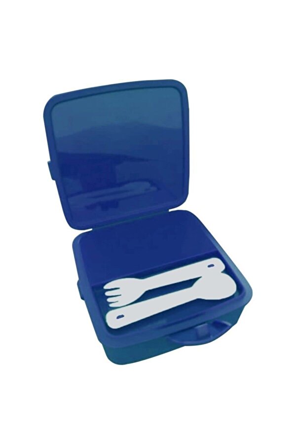 Lisanlı Plastik Beslenme Kabı