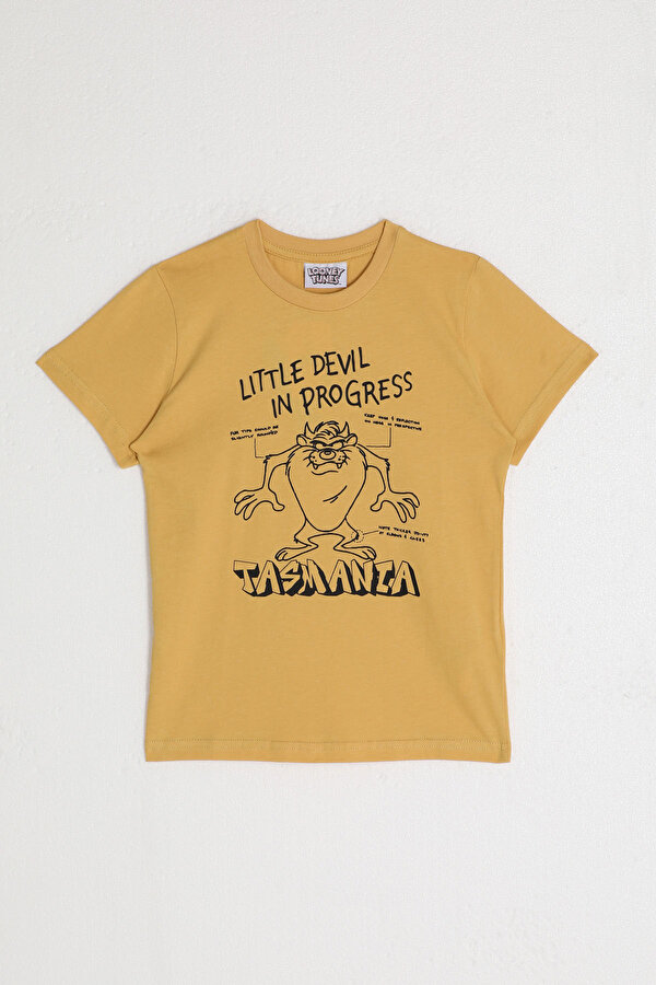 L1587-2 Erkek Çocuk T-Shirt Zencefil