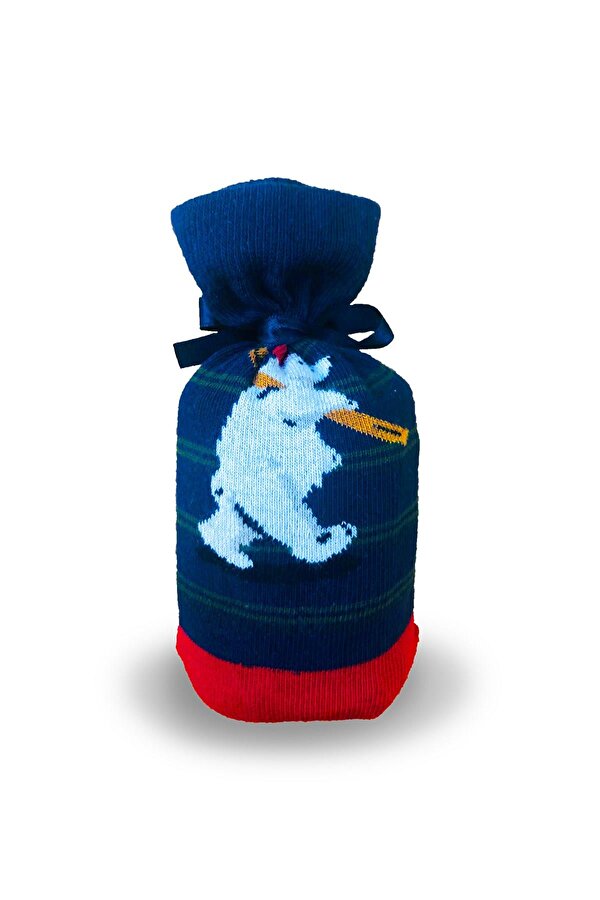 19.02.02.035-C07 Icebear Tall Erkek Çorap