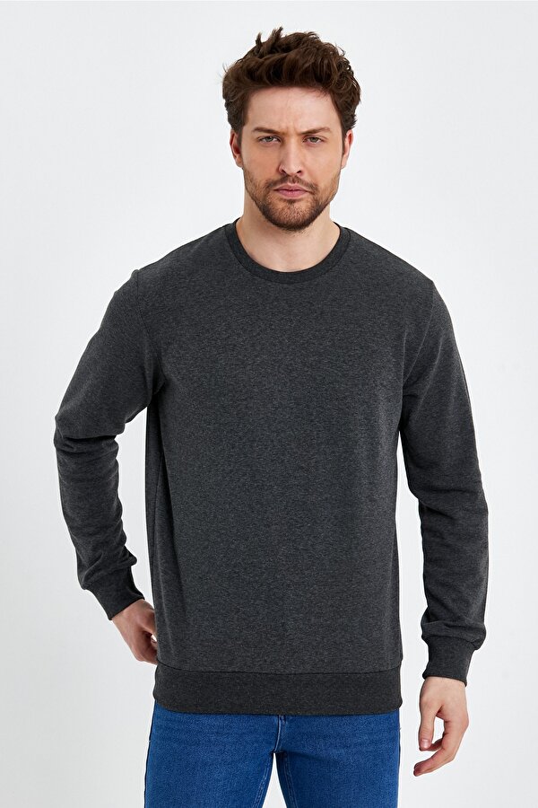 Bisiklet Yaka Basic  İnce Mevsimlik  Sweatshirt RD23YE581001