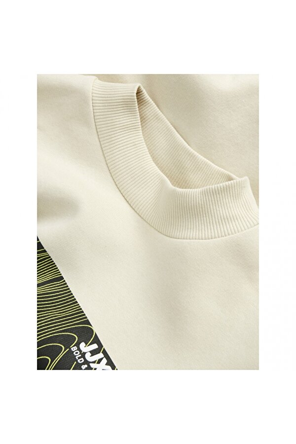 Bisiklet Yaka Rahat Kesim Kırık Beyaz Kadın Sweatshirt 12241324