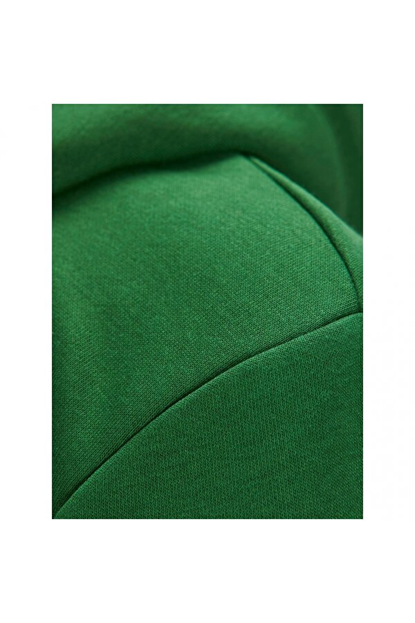 Kapüşonlu Rahat Kesim Yeşil Kadın Sweatshirt 12223961