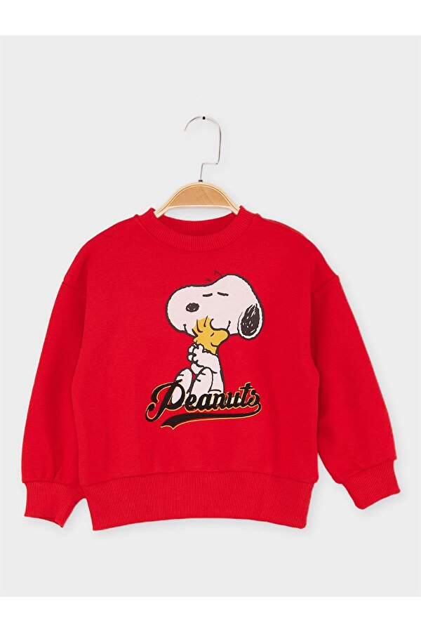 Lisanslı Çocuk Sweattshirt 21624