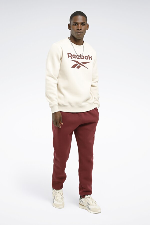 IDENTITY FLEECE ST STONE Man 060