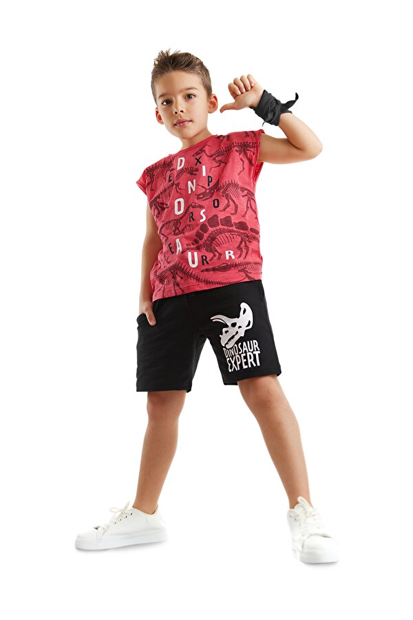 Dinosaur Expert Erkek Çocuk T-shirt Şort Takım