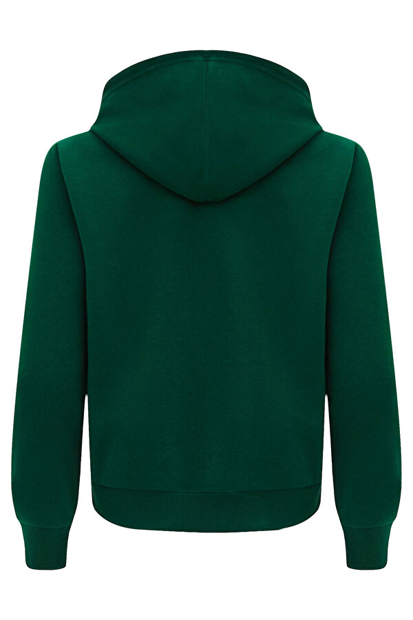 Clothing Reebok Ri Sl French Terry Fz Зеленый 008