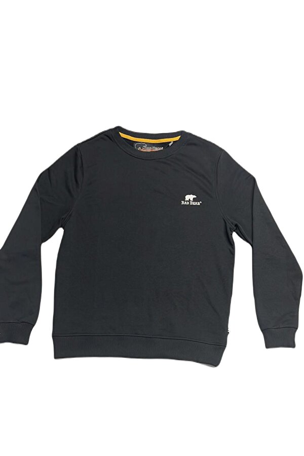 23.02.12.020-C01 Tag Erkek Sweatshirt