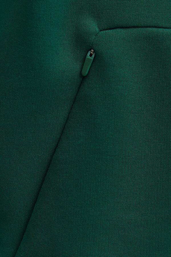 Clothing Reebok Strength Hoodie 2.0 Зеленый 008