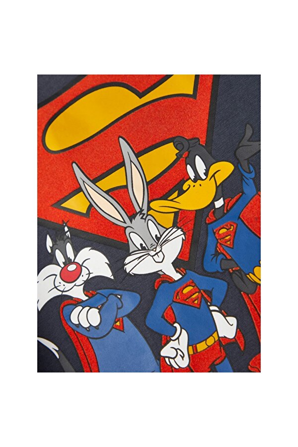 Bisiklet Yaka Baskılı Antrasit Erkek Çocuk Sweatshirt 13221181