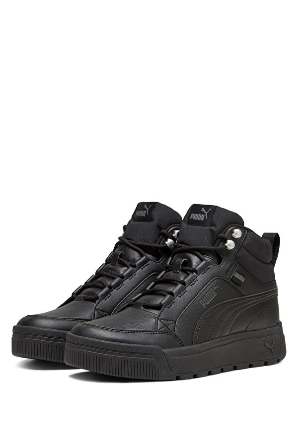 Shoes Puma Tarrenz Sb Iii Черный