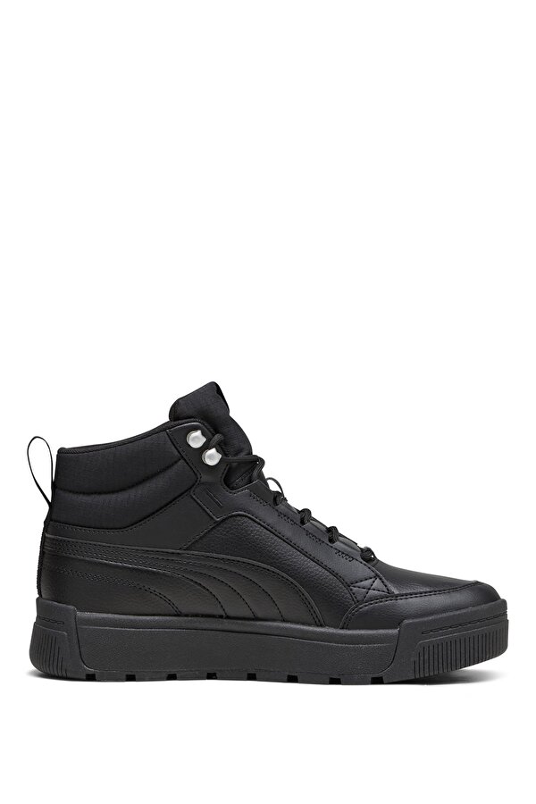 Shoes Puma Tarrenz Sb Iii Черный