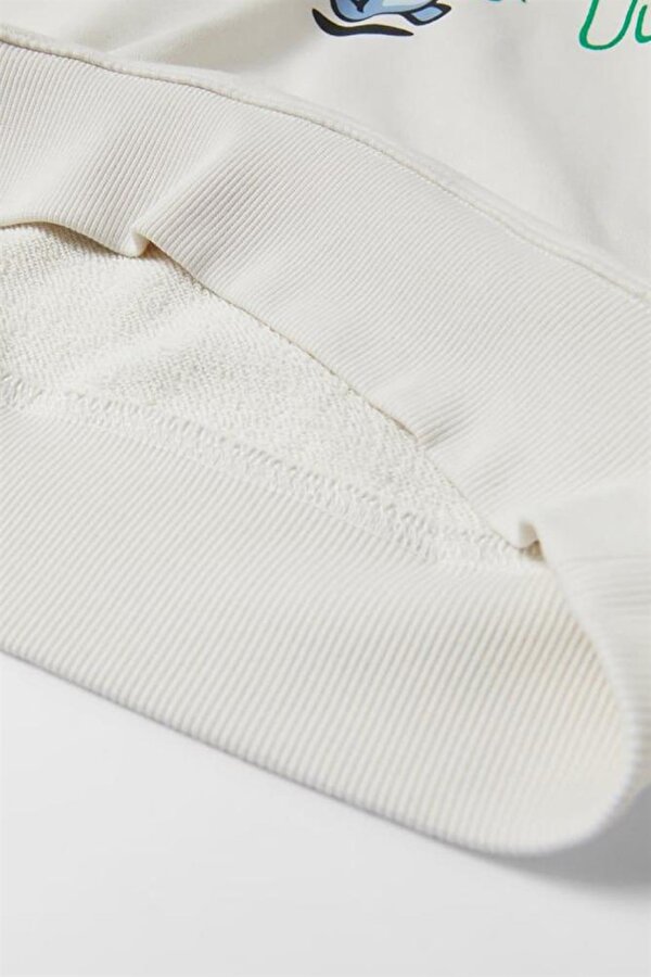 ERKEK ÇOCUK AMONG US BASKILI KAPŞONLU PAMUK SWEAT