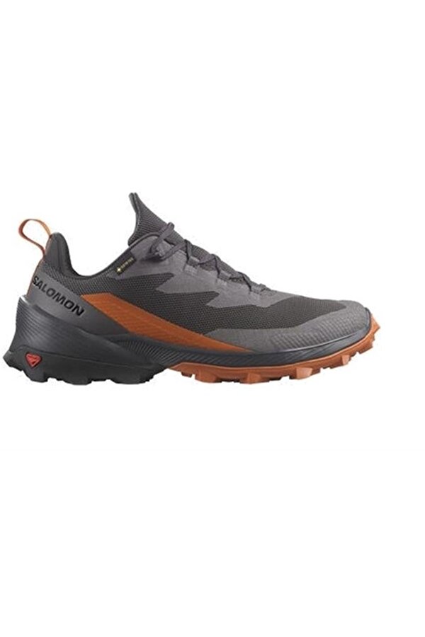 Cross Over 2 Gtx Erkek Outdoor Ayakkabı L47265000
