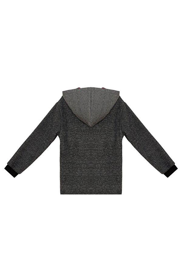 Dino Erkek Çocuk Kapüşonlu Sweatshirt