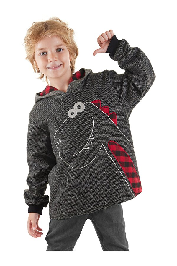 Dino Erkek Çocuk Kapüşonlu Sweatshirt