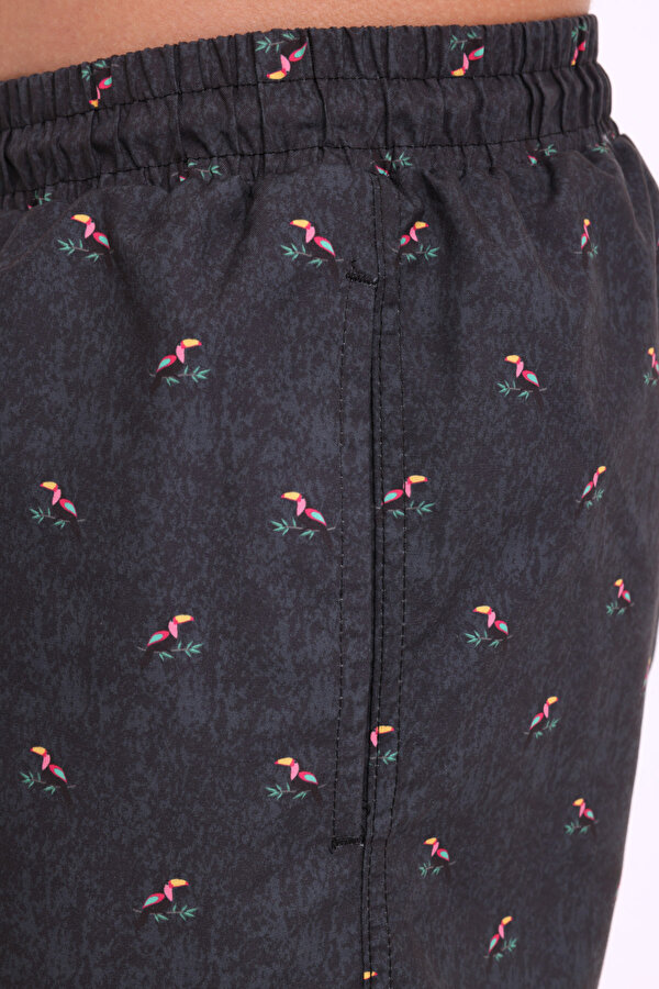 ML WERNER 19DS1042 4FX BLACK Man 350