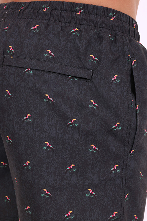 ML WERNER 19DS1042 4FX BLACK Man 350