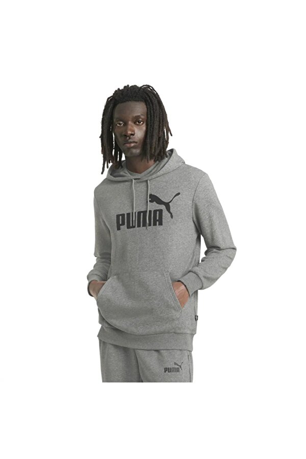 ESS Big Logo Hoodie Erkek Sweatshirt 58668803