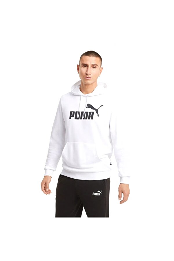 ESS Big Logo Hoodie Erkek Sweatshirt 58668802