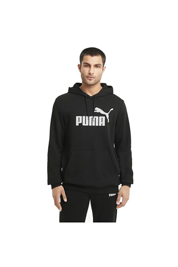 ESS Big Logo Hoodie Erkek Sweatshirt 58668801