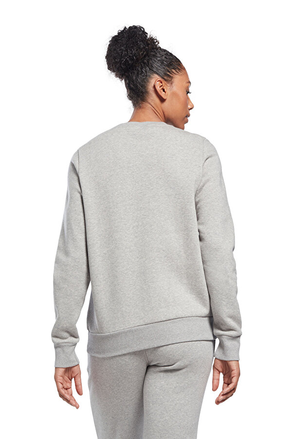 Clothing Reebok Ri Bl Fleece Crew Серый 014