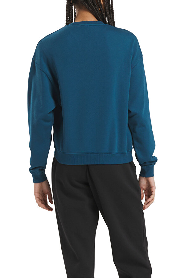 Clothing Reebok Ae Crew Голубой 008