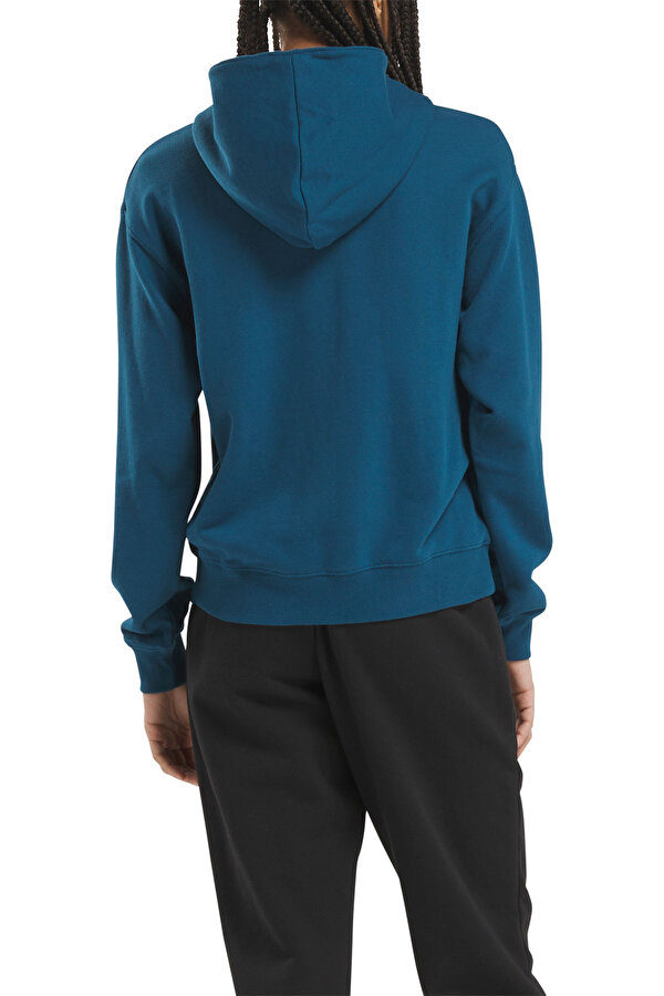 Clothing Reebok Hoodie Blue Голубой 008